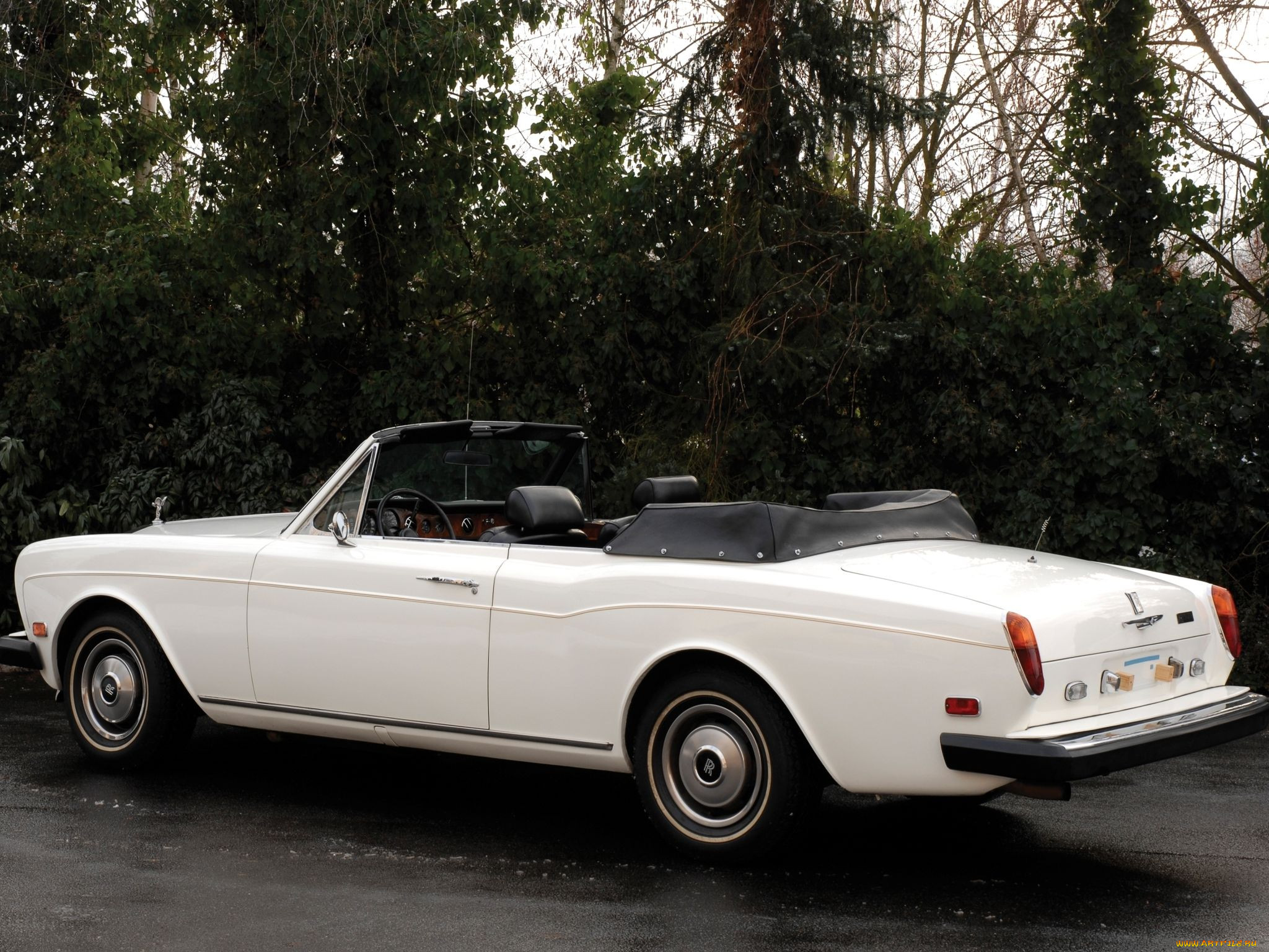 , rolls, royce